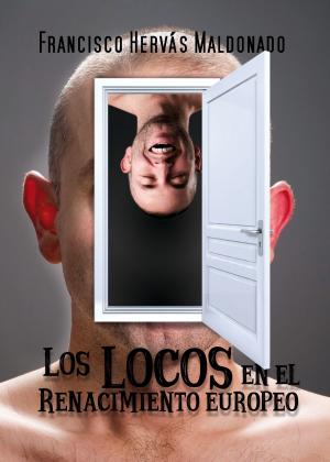 Cover of the book Los locos en el Renacimiento Europeo by Elise Fischer