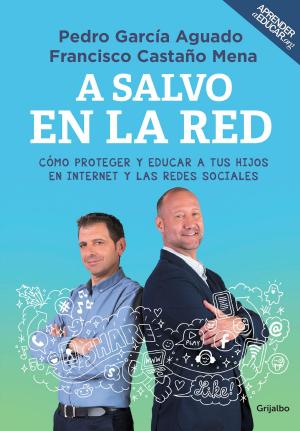 Cover of the book A salvo en la red by Erik Axl Sund