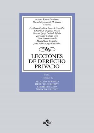 Cover of the book Lecciones de Derecho privado by Manuel Rivera Fernández, Manuel Espejo Lerdo de Tejada, Eduardo de la Iglesia Prados, César Hornero Méndez, Juan Pablo Murga Fernández