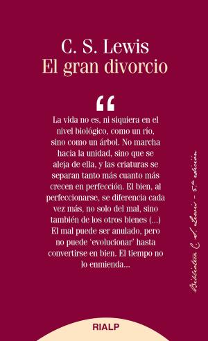 Cover of the book El gran divorcio by Onésimo Díaz Hernández