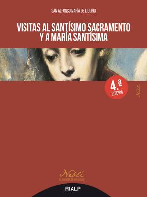 Cover of the book Visitas al Santísimo Sacramento y a María Santísima by Luis Borobio Navarro