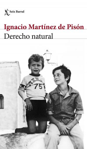 Cover of the book Derecho natural by Elsa Punset