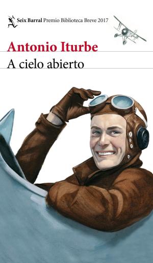 Cover of the book A cielo abierto by Tea Stilton