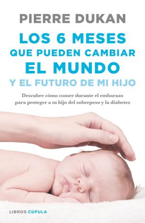 Cover of the book Los 6 meses que pueden cambiar el mundo by Jaione Yabar