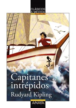 Book cover of Capitanes intrépidos