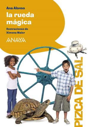 Cover of the book La rueda mágica by Álvaro Bermejo
