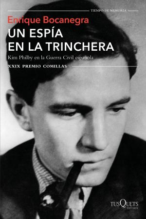 Cover of the book Un espía en la trinchera by Victoria Moradell