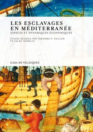 Cover of the book Les esclavages en Méditerranée by Collectif