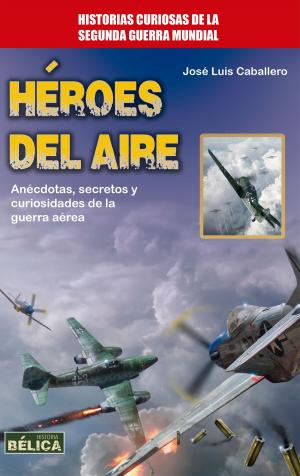 Cover of the book Héroes del aire by José Luis Caballero