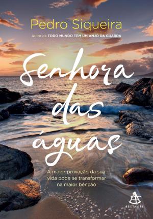 Cover of the book Senhora das águas by Daiana Garbin