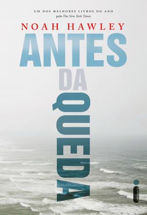 Book cover of Antes da queda