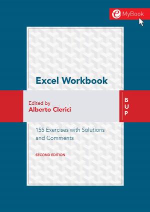 Cover of the book Excel Workbook Second Edition by Vitaliano Fiorillo