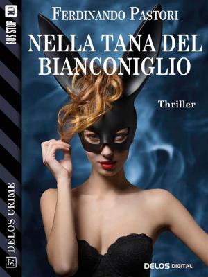Cover of the book Nella tana del bianconiglio by Stefano di Marino