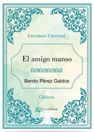 Cover of the book El amigo manso by George Andrew Reisner