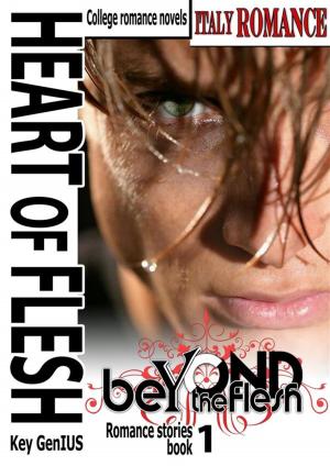 bigCover of the book Heart of flesh - Beyond the Flesh Saga - Book 1- BOX by 
