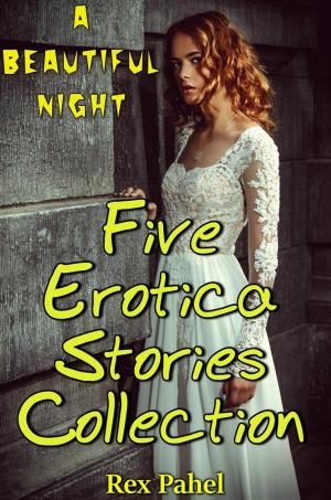 bigCover of the book A Beautiful Night: Five Erotica Stories Collection by 
