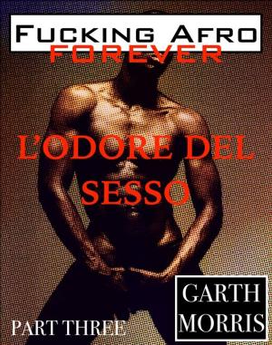 Cover of the book Fucking afro forever: L'odore del sesso by Garth Morris