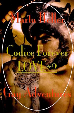 Book cover of Codice Forever Love#2