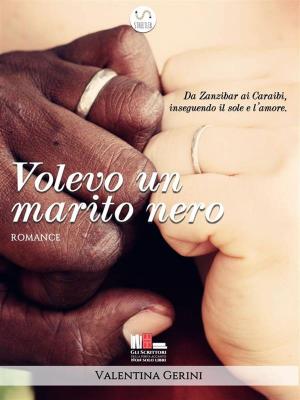 Book cover of Volevo un marito nero