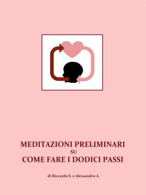 Cover of Meditazioni preliminari su come fare i Dodici Passi