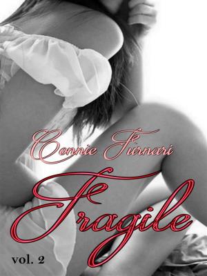 Book cover of Fragile vol. 2