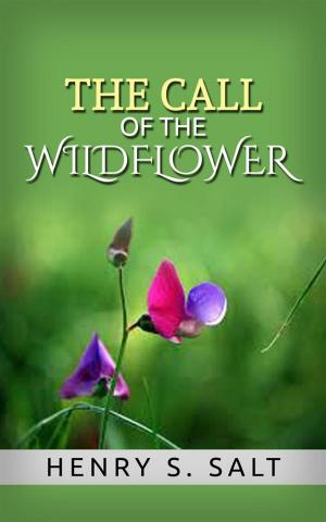 Book cover of The Call of the Wildflower