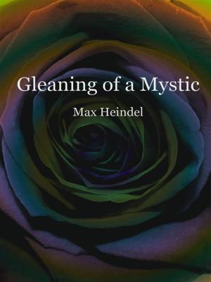 Cover of the book Gleaning of a Mystic by Gregg Krech