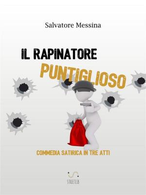 bigCover of the book Il rapinatore puntiglioso by 