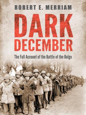 Cover of the book Dark December by Lucian K. Truscott