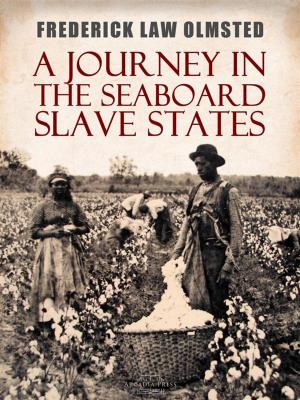 bigCover of the book A Journey in the Seaboard Slave States by 