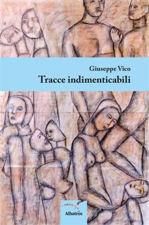 Cover of the book Tracce indimenticabili by Pipitone Maria