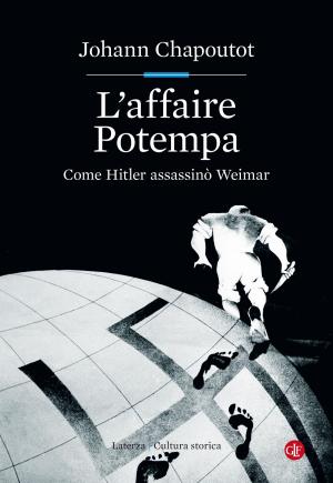 Book cover of L'affaire Potempa