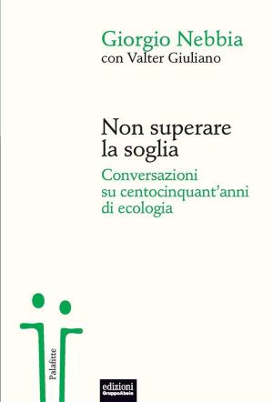 Cover of the book Non superare la soglia by Livio Pepino