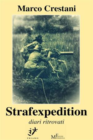 Book cover of Strafexpedition