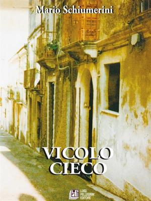 Cover of the book Vicolo Cieco by Marino Magliani, Riccardo Ferrazzi
