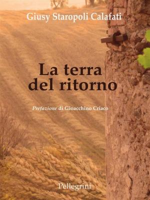 Cover of the book La terra del ritorno by Vincenzo Rosario Spagnolo