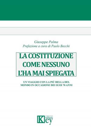 Cover of the book La costituzione come nessuno l’ha mai spiegata by Riccardo Mazzon