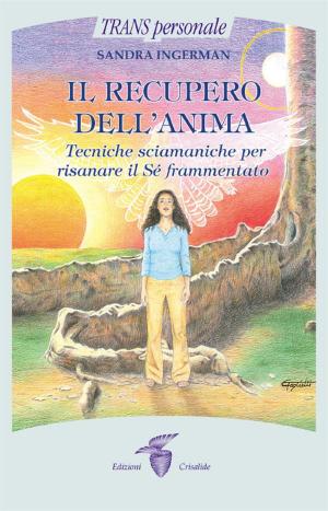 Cover of the book Il recupero dell'anima by Ken Wilber