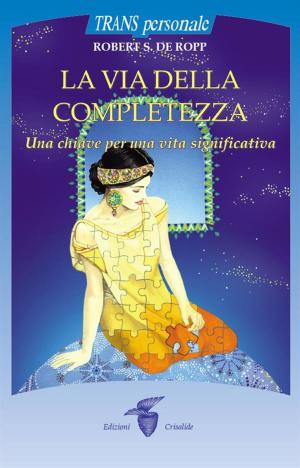 Cover of the book La via della completezza by Ken Wilber