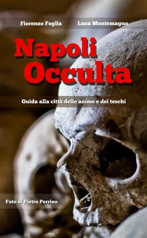Cover of the book Napoli Occulta by Kristine Lowder