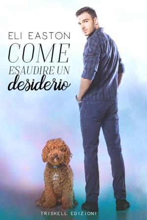 Cover of the book Come esaudire un desiderio by Iyana Jenna