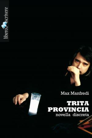 Cover of the book Trita Provincia by Mary Wilkins Freeman