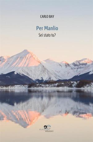 Cover of the book Per Manlio by Sara Morchio