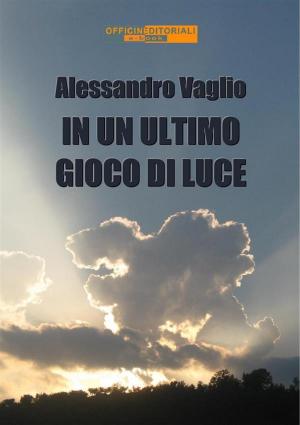 Cover of the book In un ultimo gioco di luce by Alessandro Vaglio