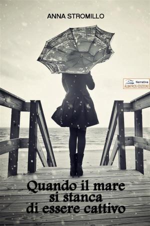 Cover of the book Quando il mare si stanca di essere cattivo by Carlo Fumo Viridiana Myriam Salerno
