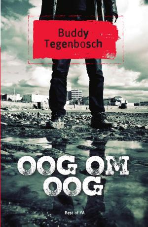 Cover of the book Oog om oog by Mirjam Mous