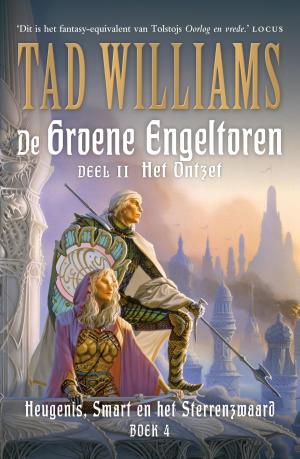 Book cover of De Groene Engeltoren
