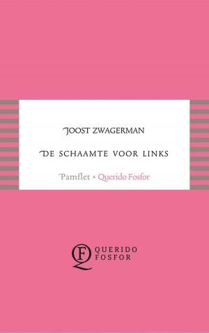 Cover of the book De schaamte voor links by Esther Gerritsen