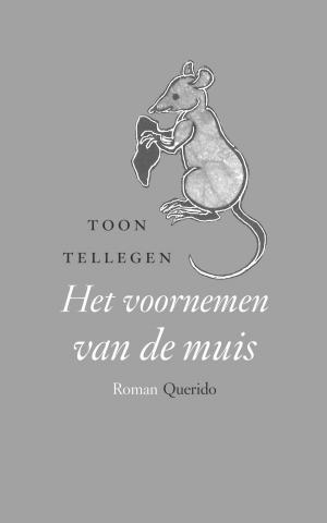 Cover of the book Het voornemen van de muis by Miranda Richmond Mouillot