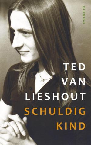 Cover of the book Schuldig kind by A.F.Th. van der Heijden